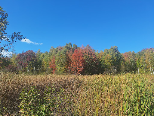 Photo of Laurier Woods Conservation Area - Brule St, North Bay, ON P1A 3Z5